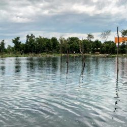 平日釣行で好釣果 ～フィシングパーク高島の泉～